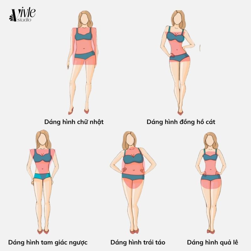 Các dáng người cơ bản của nữ
